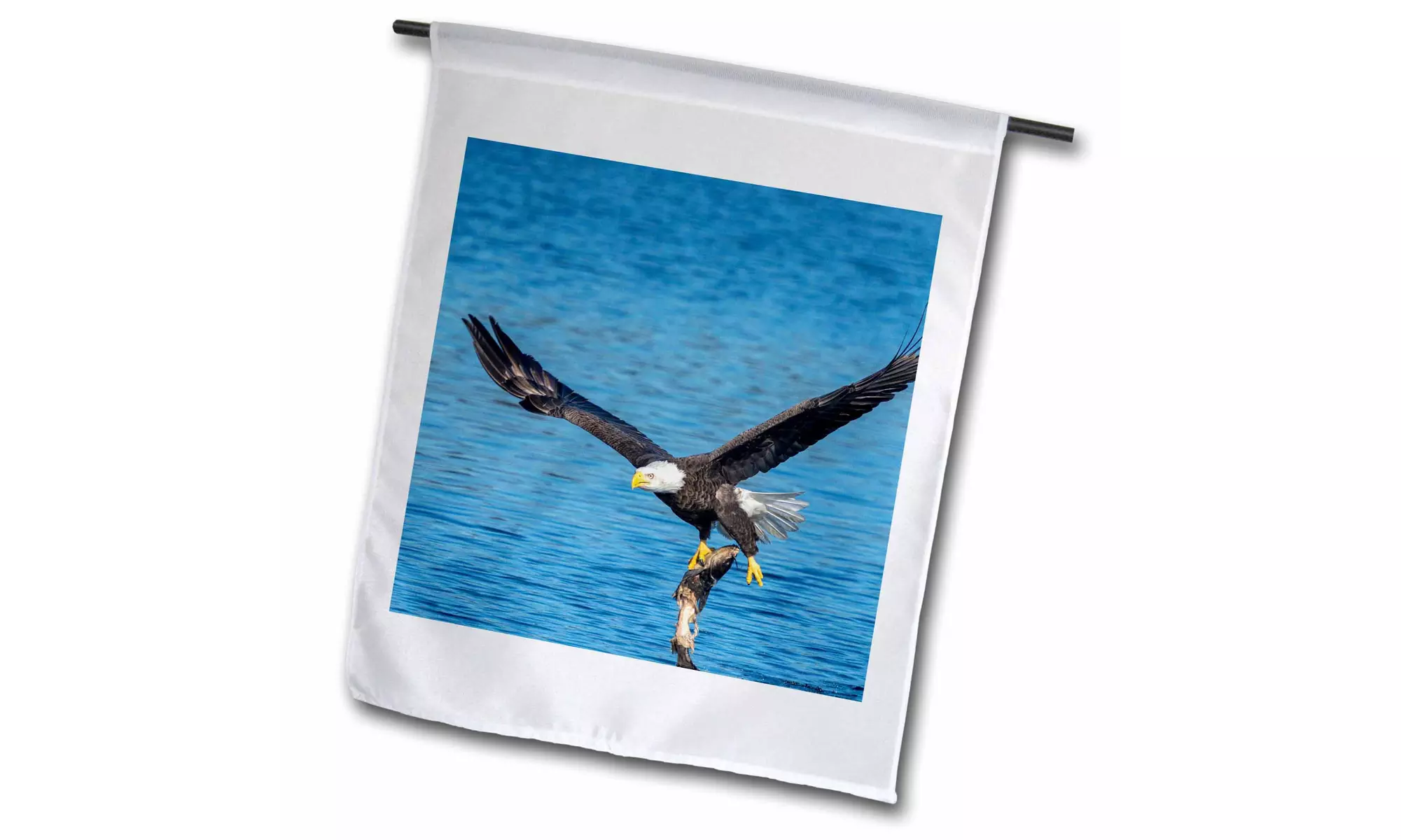  Garden Flag USA, Florida, Orange City, St. John River, eagle catching fish - Primary Image