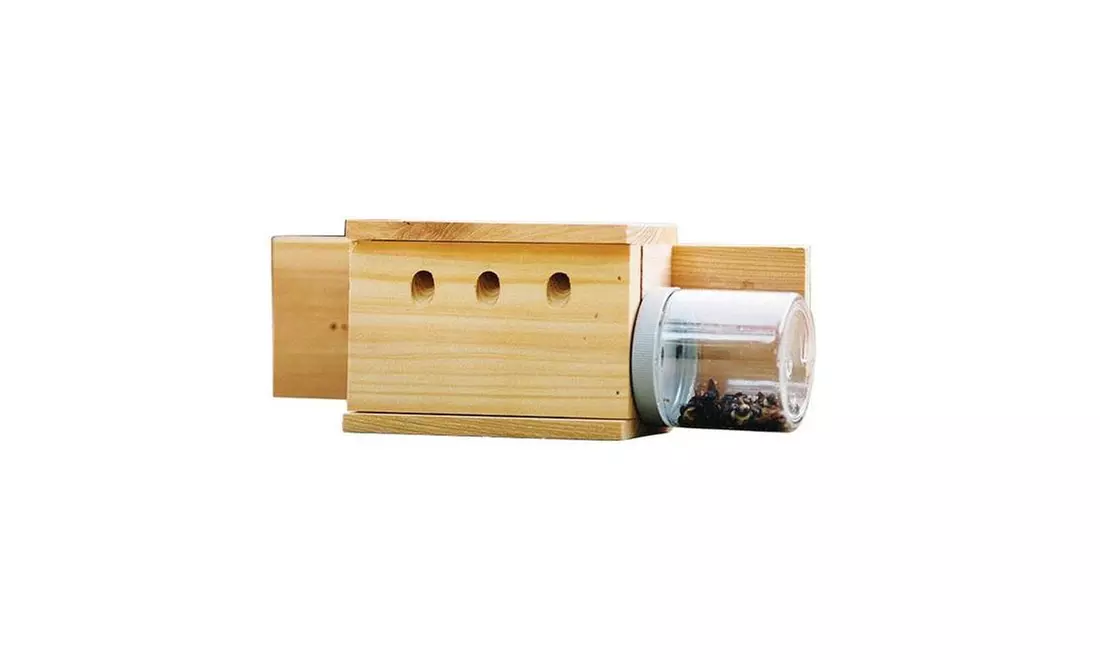 Bees N Things BEES-BM Carpenter Bee Trap - Primary Image