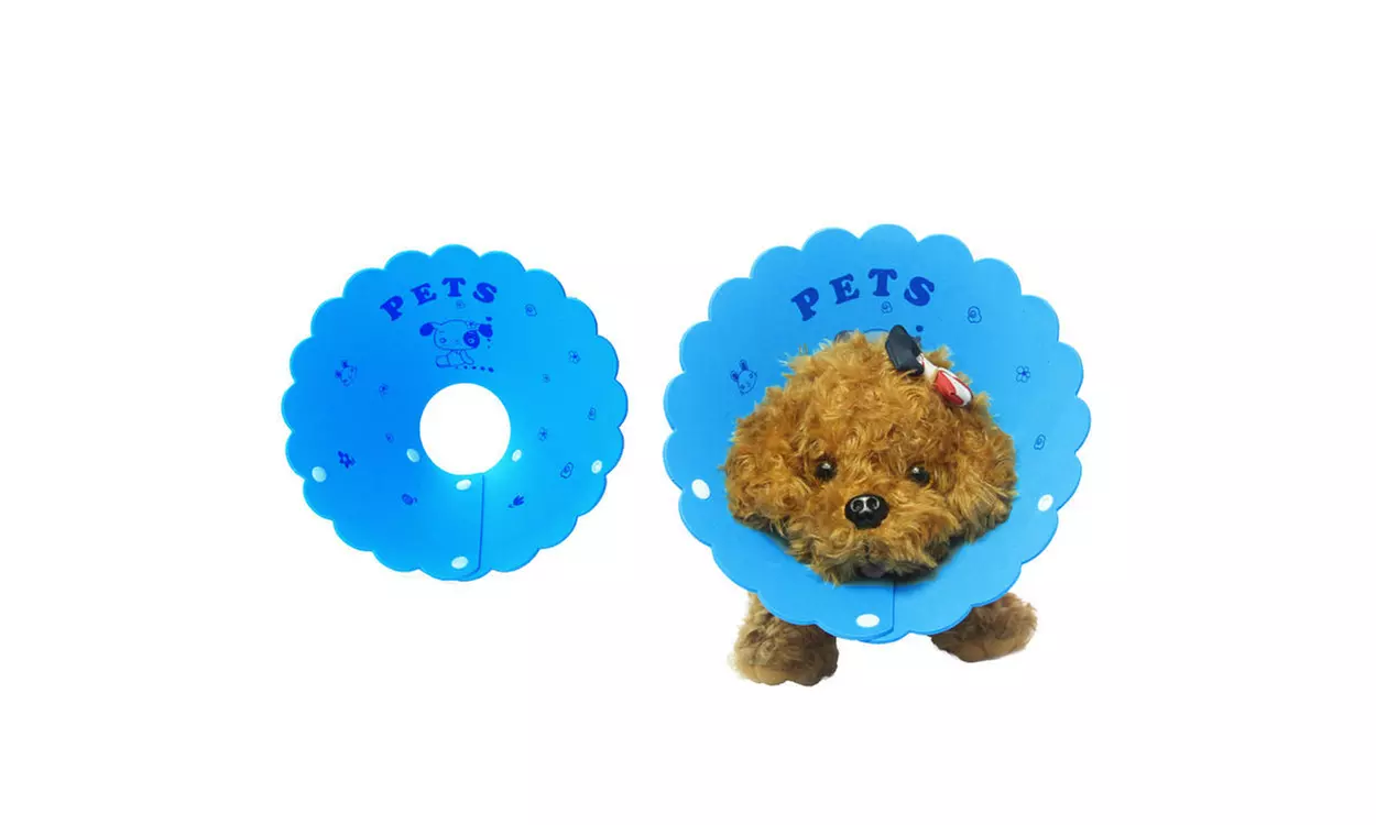 Magik Pet Wound Healing Elizabethan Soft Foam Protective Cone Recovery E-Collar - Primary Image