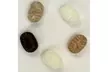Sugar-free Hard Candy Ginger Coffee Toasted Sesame Strong Menthol 8 Oz - Second Medium