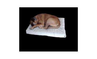 Enrych 1016 Prison Bed