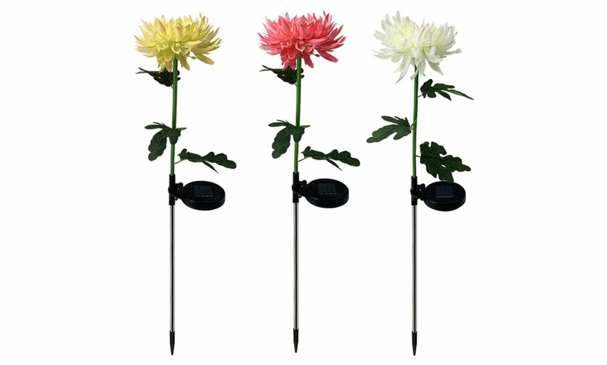 chrysanthemum solar garden light