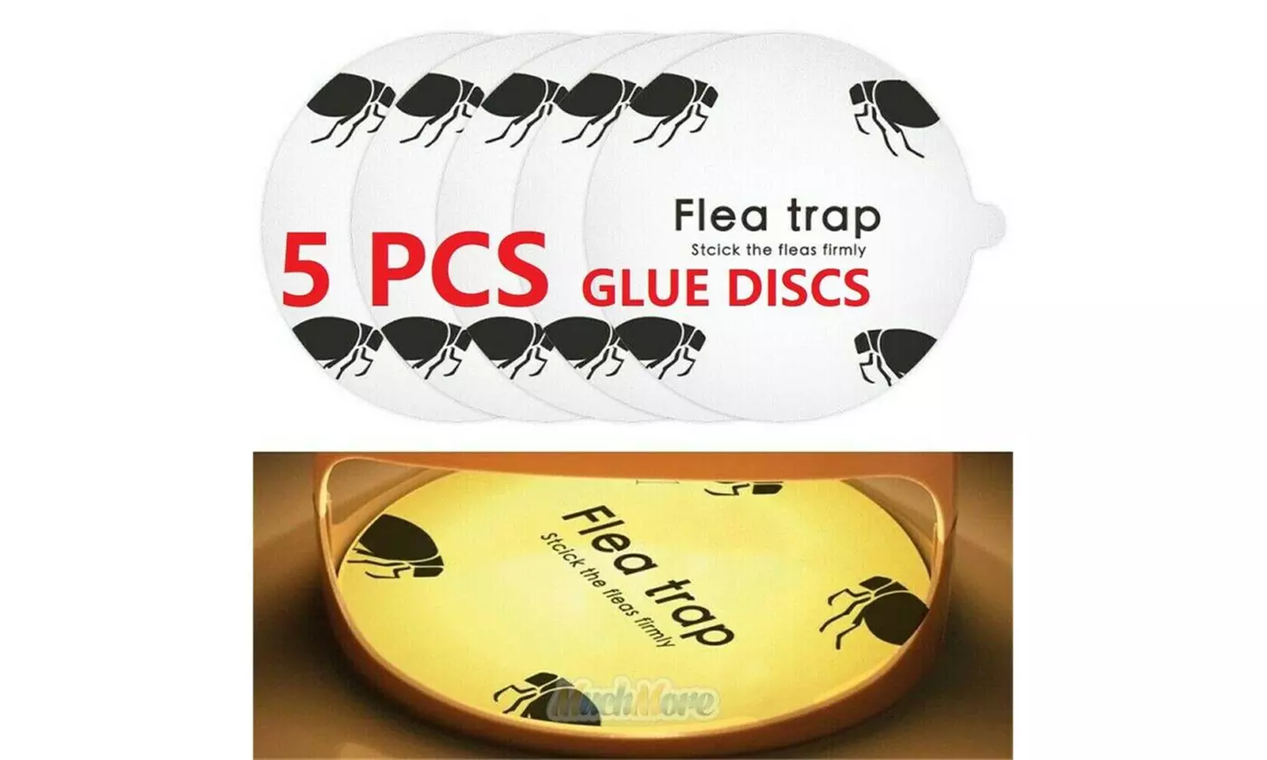 Electric Flea Trap Killer Home Pest Control Sticky Disc Spare Lamp Non-toxic Pad - Second Medium