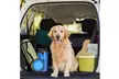 Collapsible Dog Water Bottle Dog Bowls for Traveling Pet Food Container 2-in-1 - Second Medium