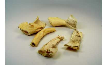 Top Dog Chews Beef Cheek Chips - 25 Pack Rawhide Chips