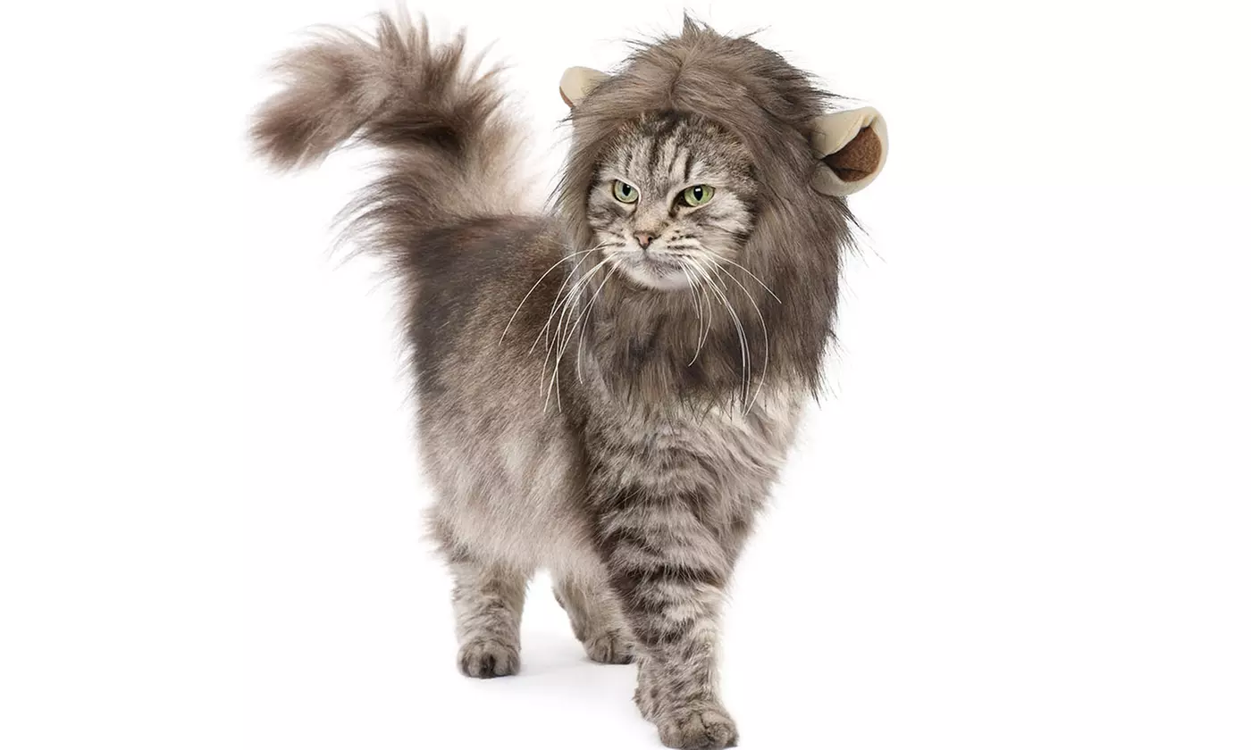Funny Pet Cat Lion Mane Wig Costume for Cats - Primary Image
