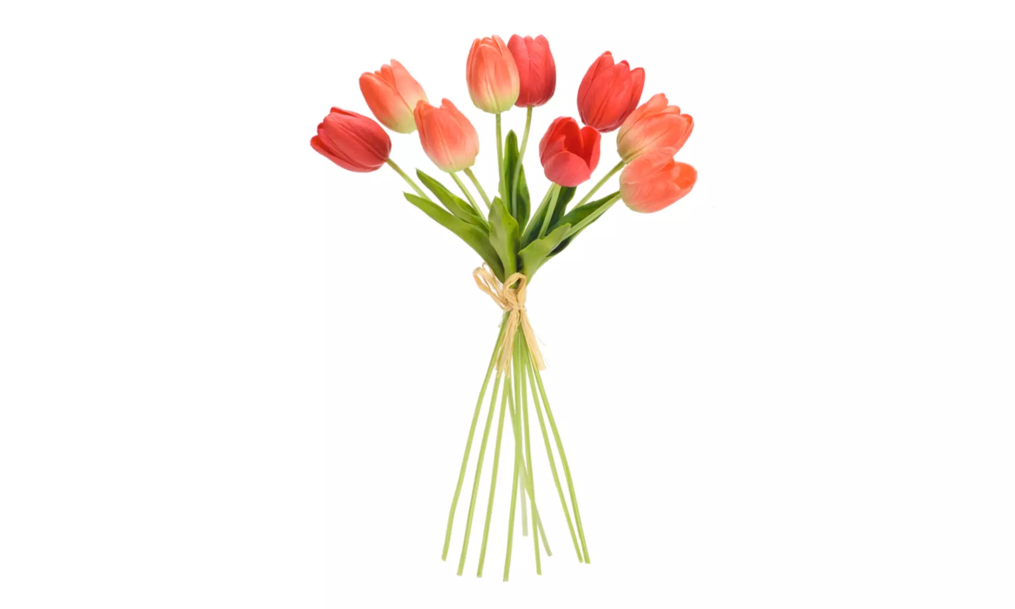 Tulip Bundle (Set of 6) 15"H - Second Medium