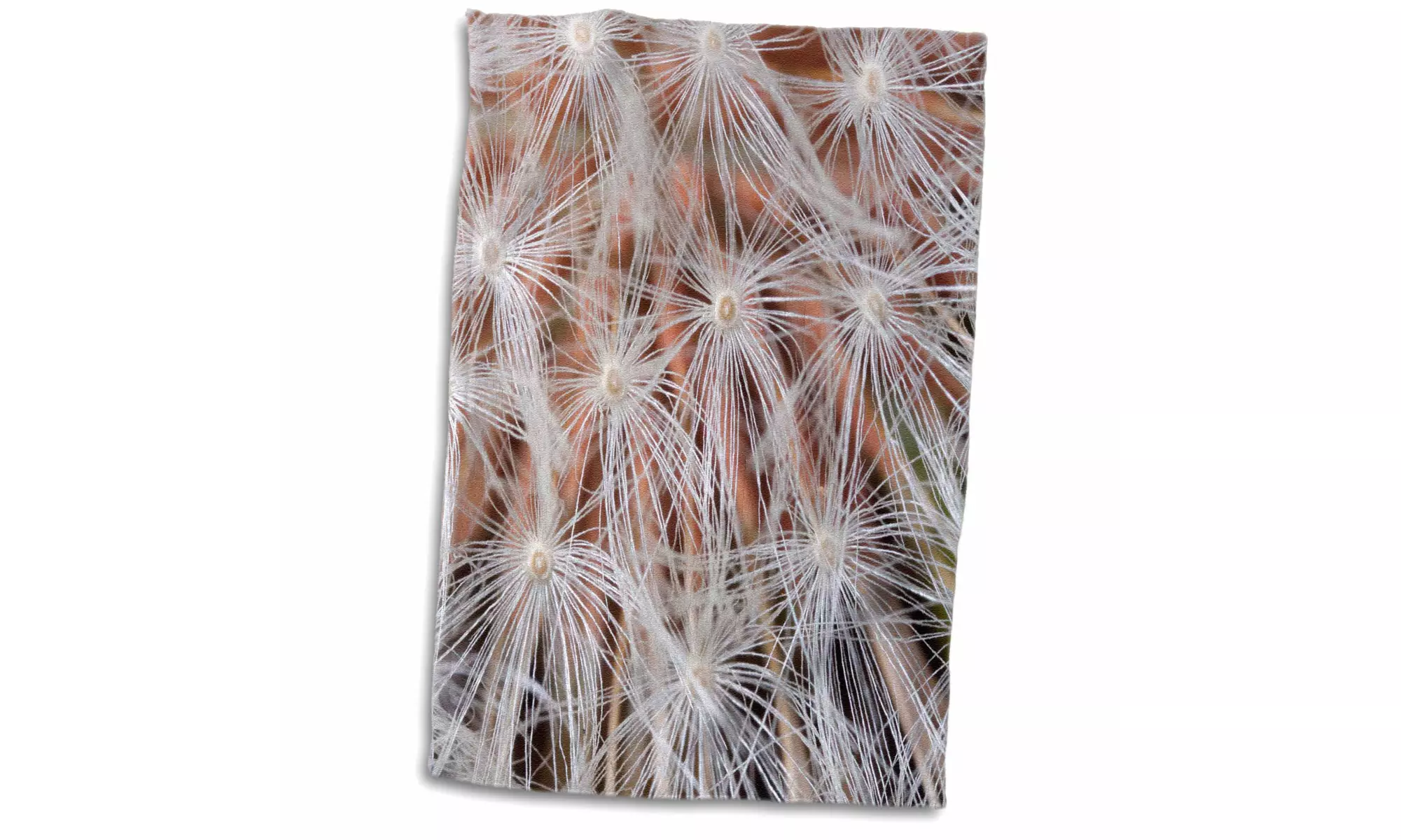  Towel - USA, California, San Diego, Close-up of a dandelion. - 15 by 22-inches - Primary Image