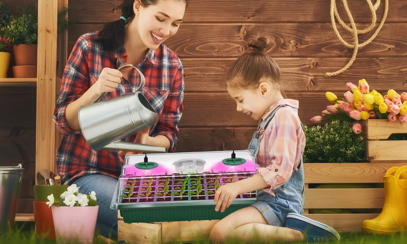 iMounTEK 40-Cell Seed Starter Tray with Grow Lights 