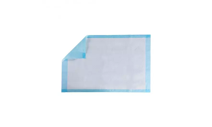 Pet Wee Pee Piddle Pad - Primary Image