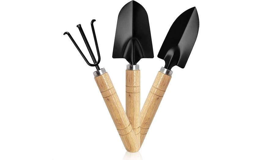 Up To 57% Off on 3Pcs Gardening Set of Tools S... | Groupon Goods