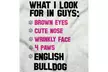 What I Look for In Guys English Bulldog Pet Romper Bodysuit - Second Medium