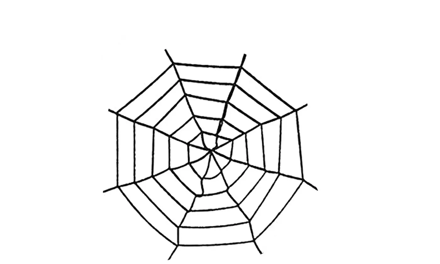 Giant Spider & Web Halloween Decoration Props