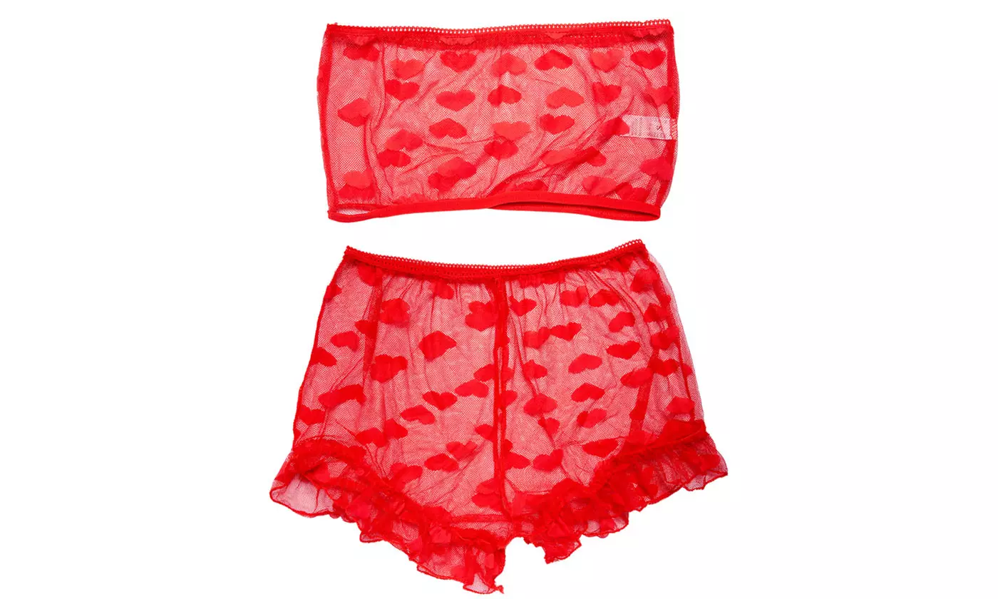 Women's Mesh Sheer Lace Sexy Bra and Panty 2 Piece Exotic Lingerie Sets