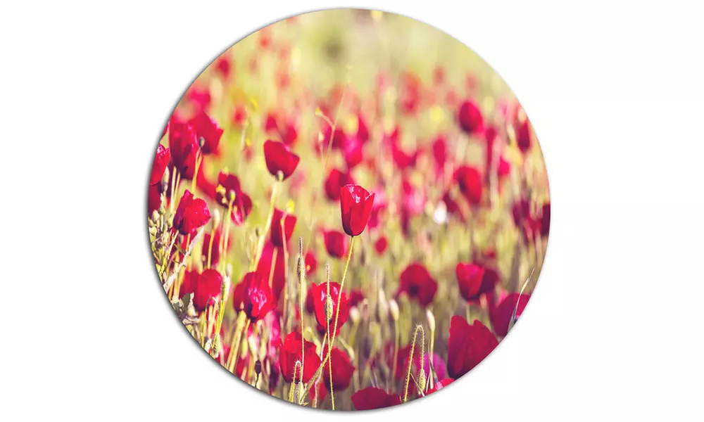 Fantastic View of Wild Poppy Flowers' Large Flower Oversized Metal Circle - Second Medium