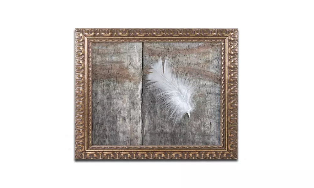 Cora Niele 'Feather on Wood II' Ornate Framed Art - Second Medium