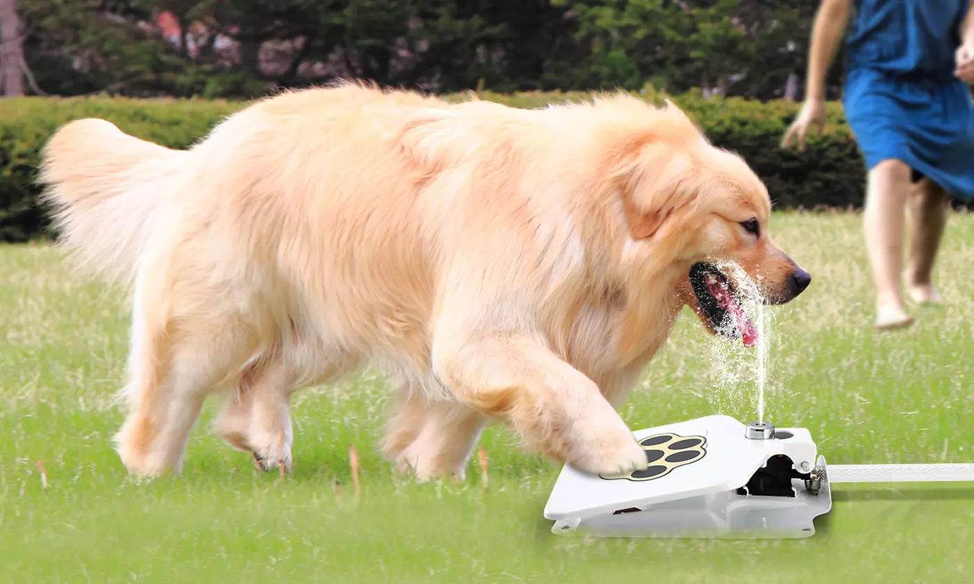 iMounTEK Outdoor Step-On Dog Water Fountain Pet Water Dispenser