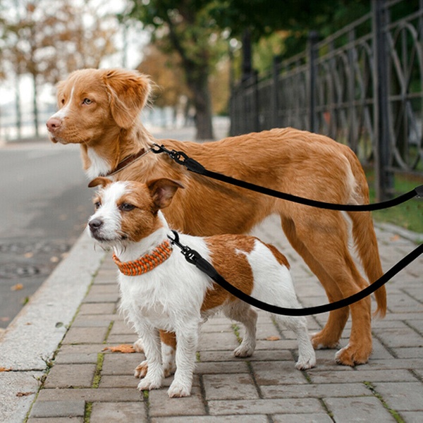 dual wonder dog leash