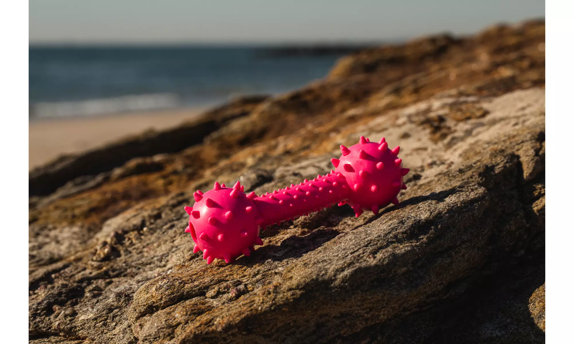 2 Pack Dog Teething Spiky Chewy Dumbbell by Chompstick - Primary Image