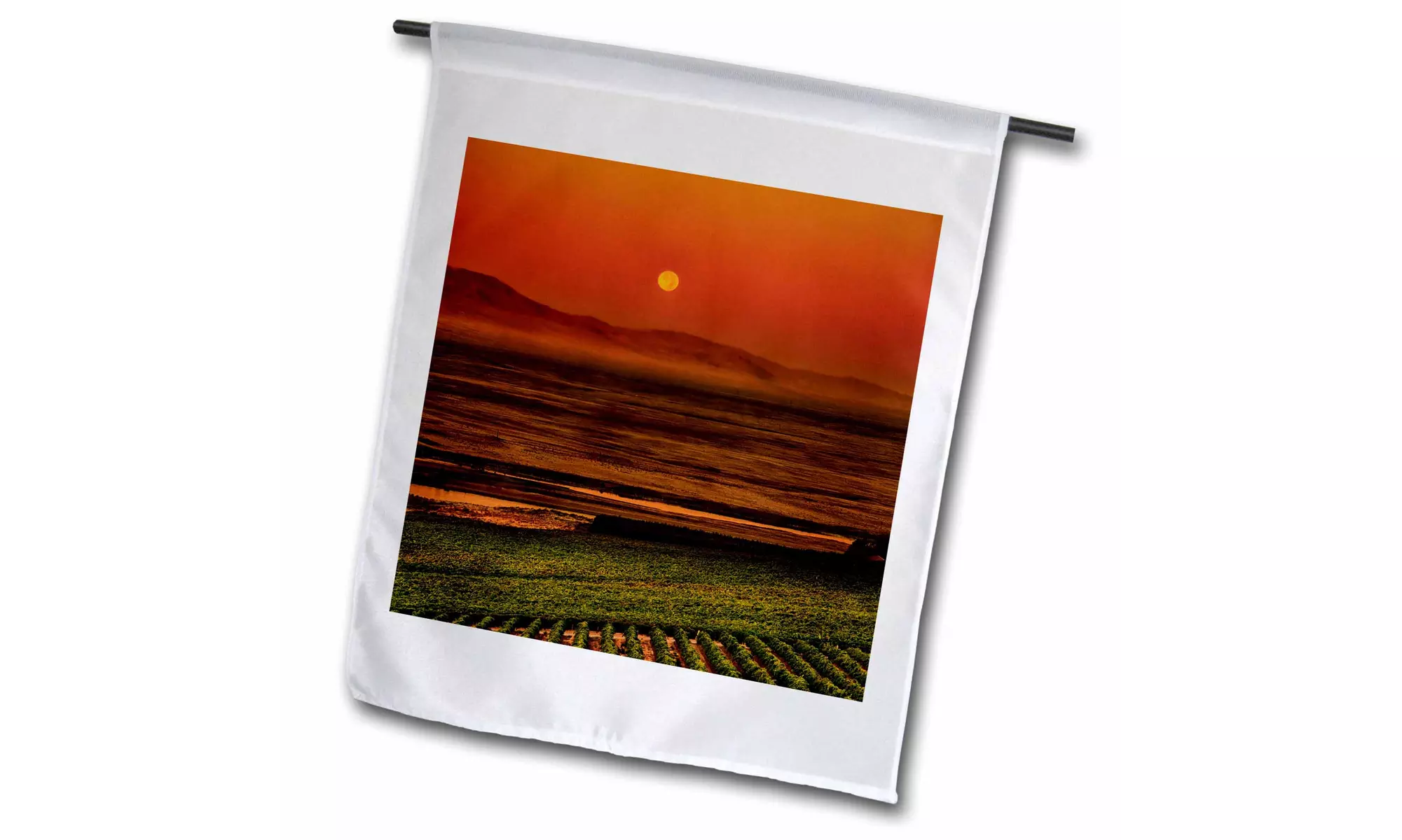  Garden Flag USA, Washington, Pasco. Harvest moon setting over a vineyard.  - Second Medium