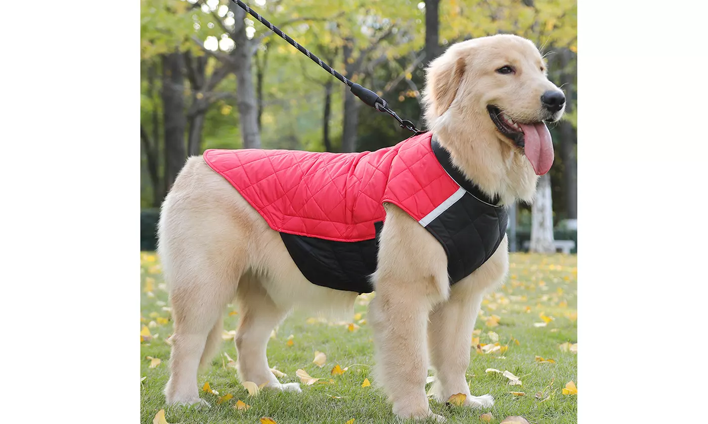 Winter Warm Quilted Dog Jacket, Waterproof Padded Coat Puppy Coat 