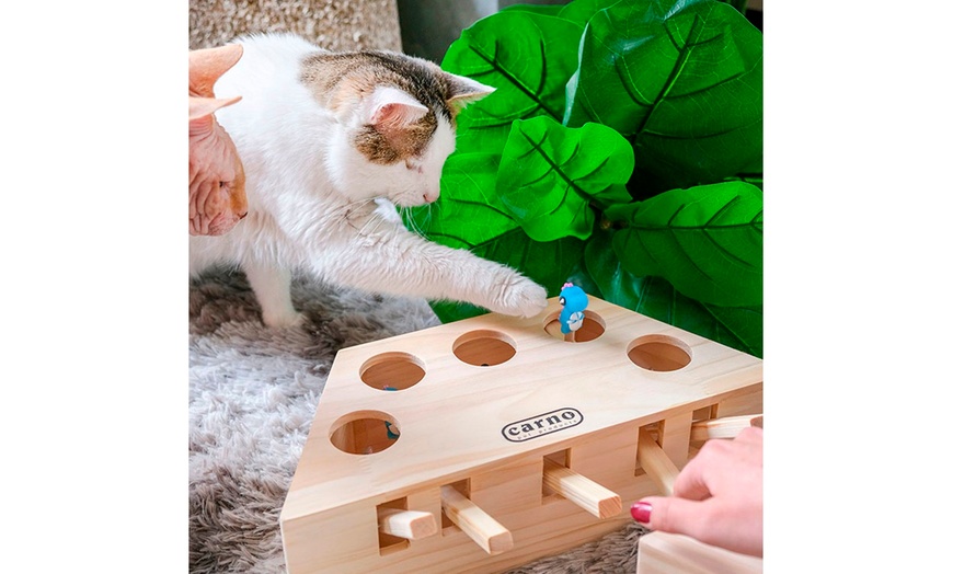 cat hunt toy