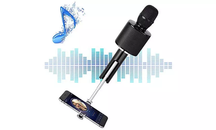 Wireless Bluetooth Karaoke Microphone with Phone Holder, Karaoke Machine Speaker - Primary Image