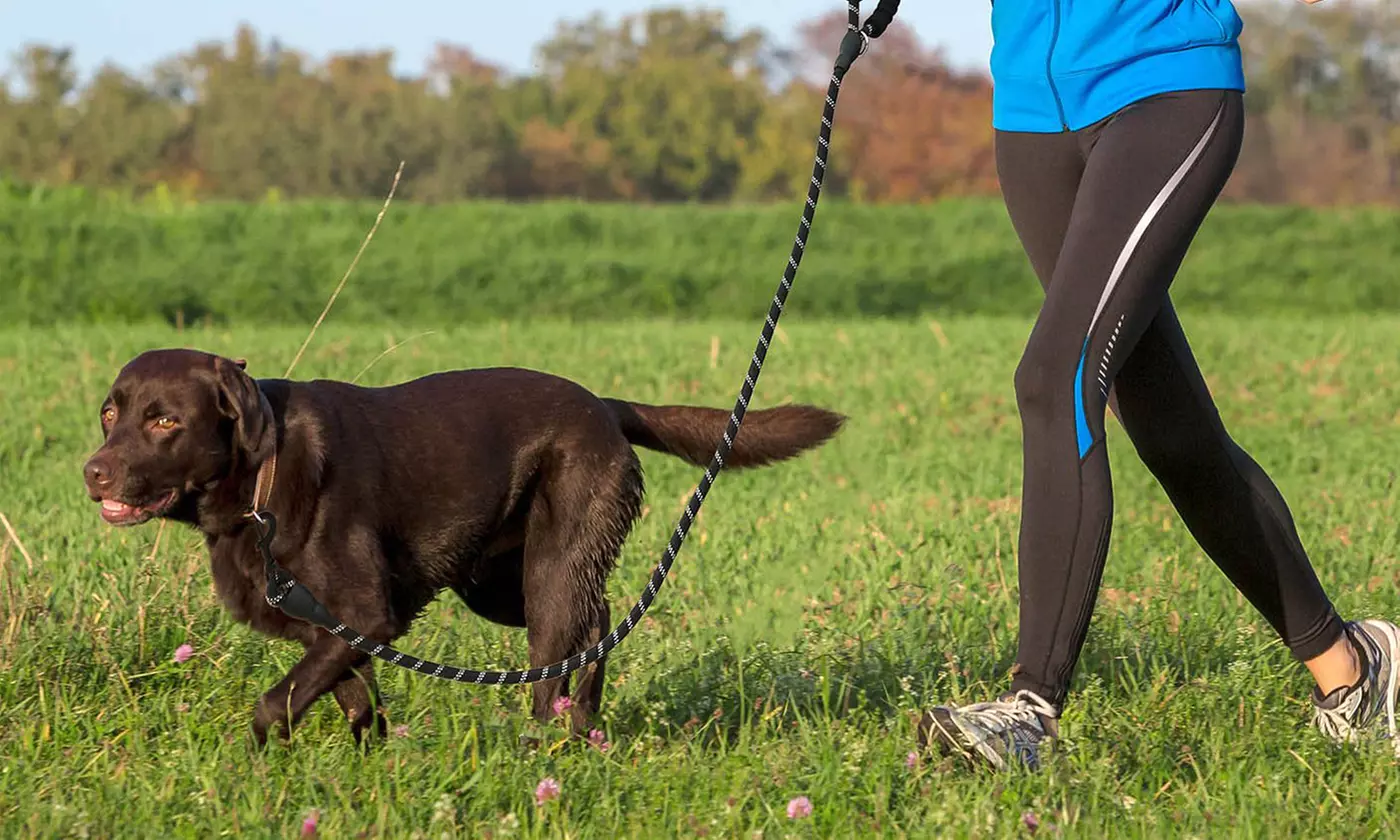 Heavy Duty Dog Leash Reflective Dog Leashes for Medium Large Dogs