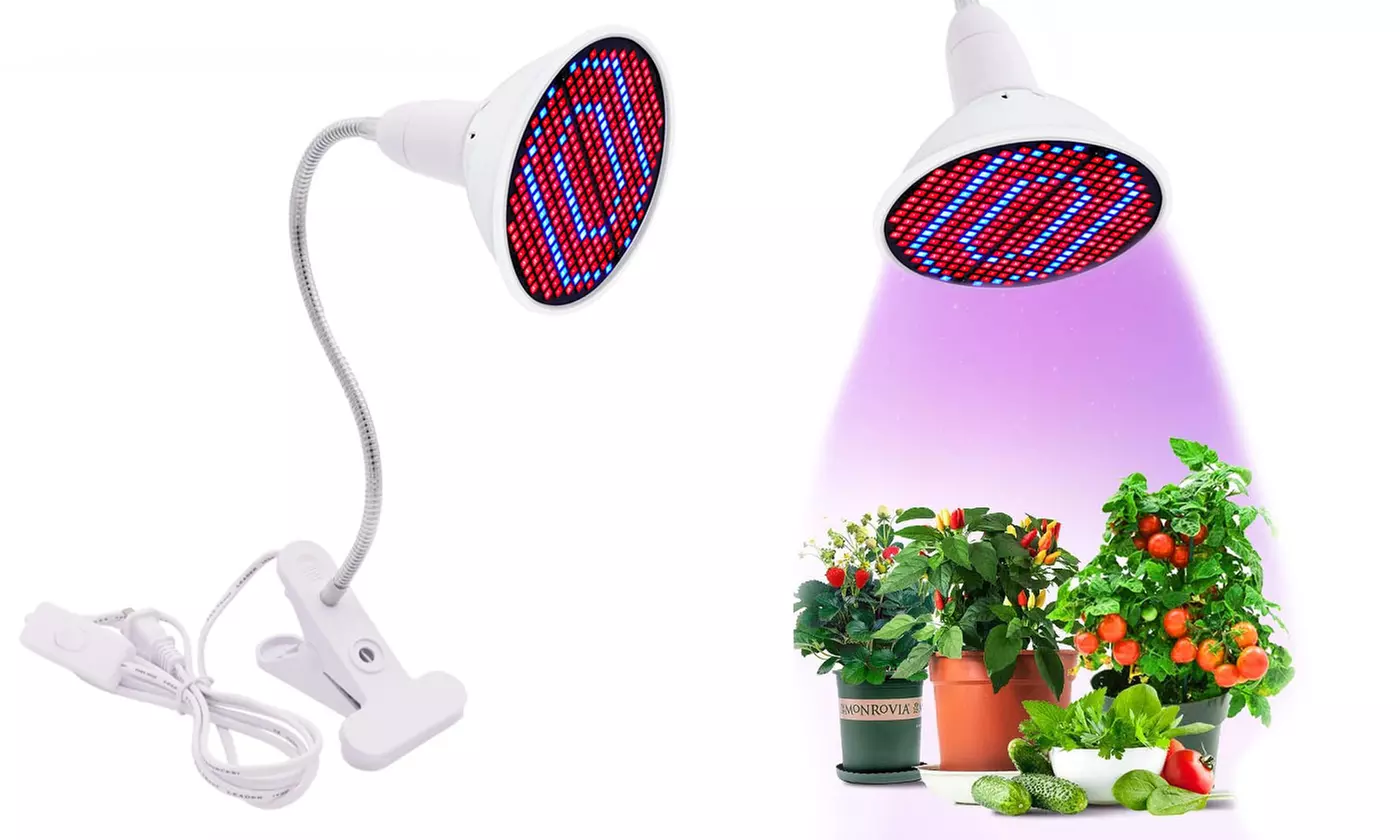 LED House Plant Grow Light for Home and Office Indoor Plants