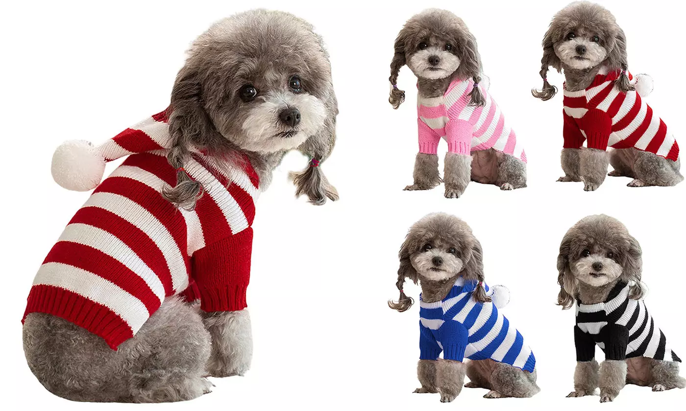 Pet Dog Striped Knitted Turtleneck Pullover Hoodie Sweater Jumper with Hat - Primary Image