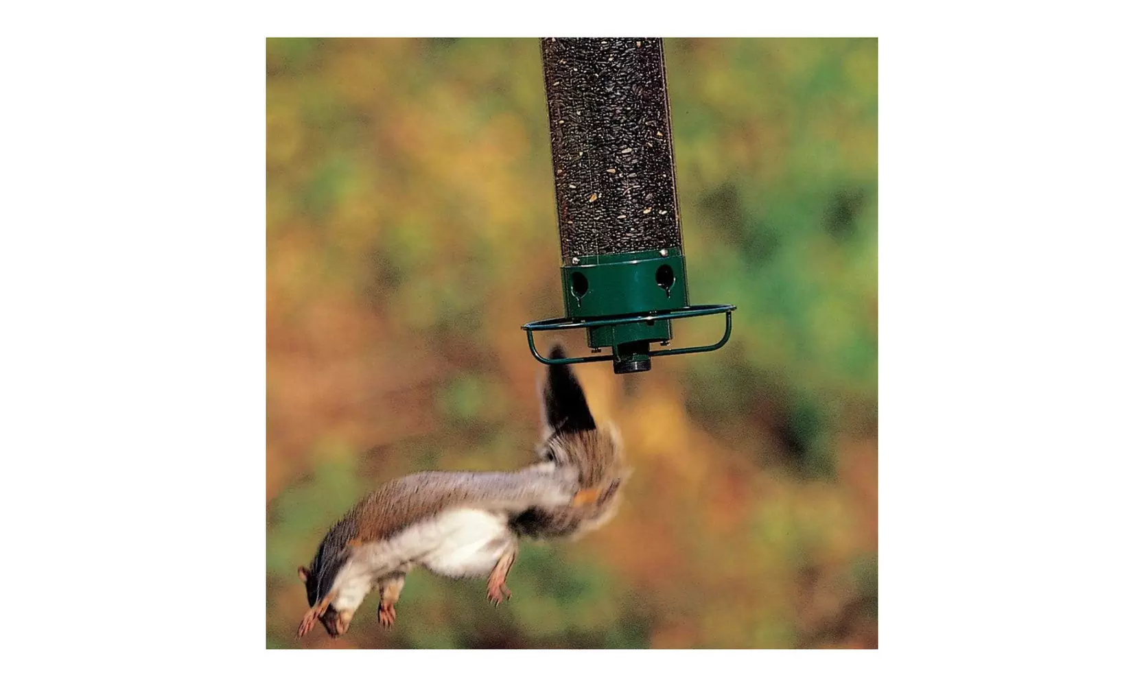 Droll Yankees 29-Inch Yankee Flipper Squirrel-Proof Bird Feeder (Green) - Second Medium