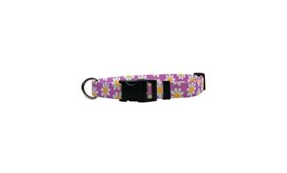 Yellow Dog Design LAVD103L Lavender Daisy Standard Collar - Large