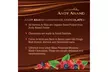 Andy Anand Old Fashioned Dark Chocolate Cashew Cluster Gift Box 1 lbs - Second Medium