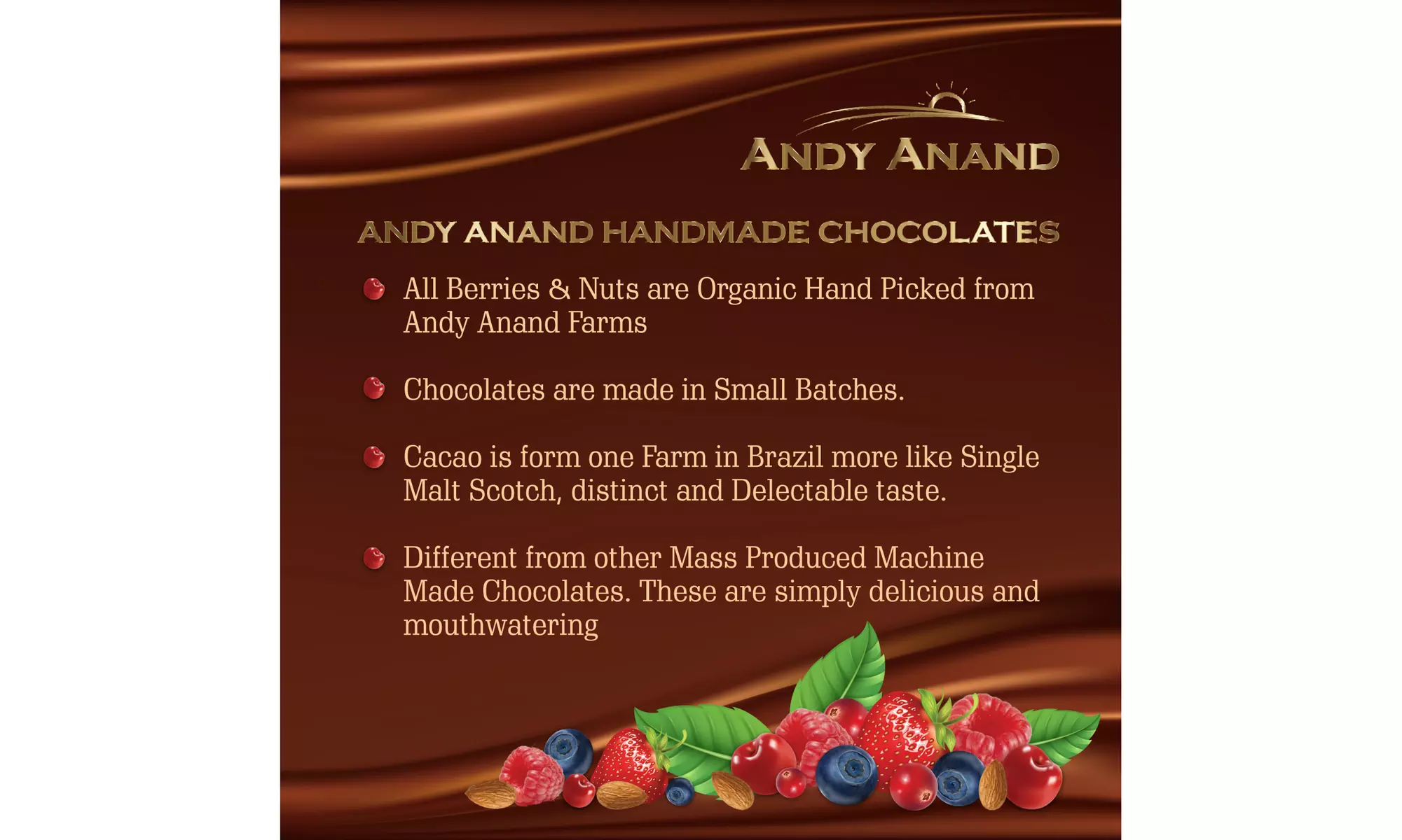 Andy Anand Dark Chocolate Whole Dates with Sea Salt 1 lbs - Second Medium