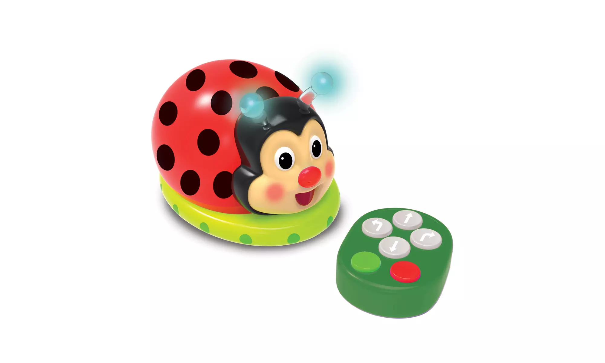 Code & Learn Ladybug - Second Medium