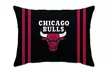 NBA Team Bed Pillow - Second Medium