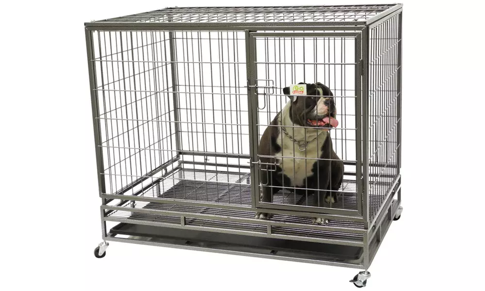 GoPetClub Heavy-Duty Steel Pet Crate - Second Medium
