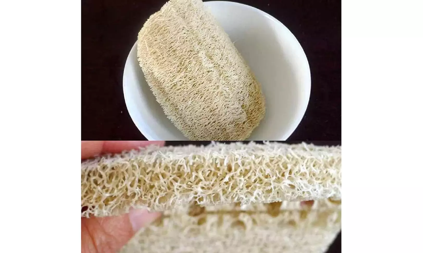 4 Pcs Natural Loofah Kitchen Sponge Biodegradable Loofah Dish Sponge for Dishes