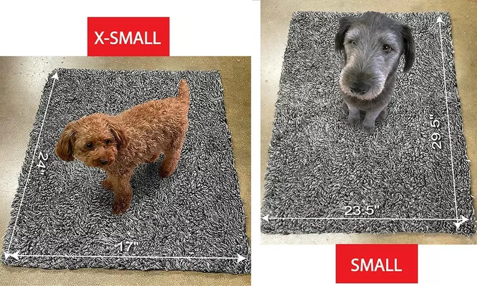 Scoochie Poochie Dog Bed & Crate Pad
