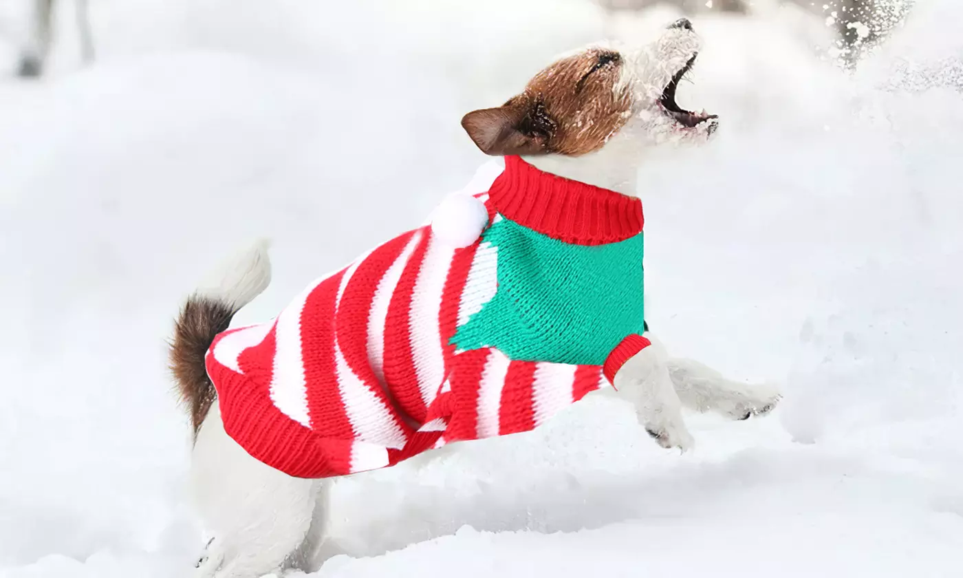 iMounTEK Warm Knit Christmas Sweater for Pets
