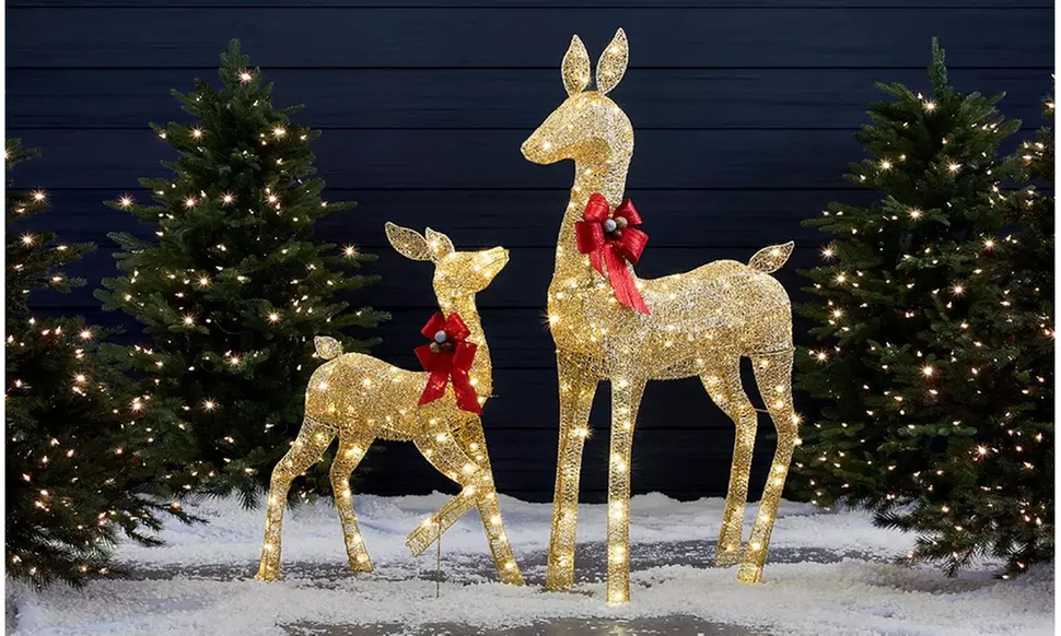 2-Piece Lighted Christmas Deer Family Decoration Set with 210 LED Lights - Primary Image
