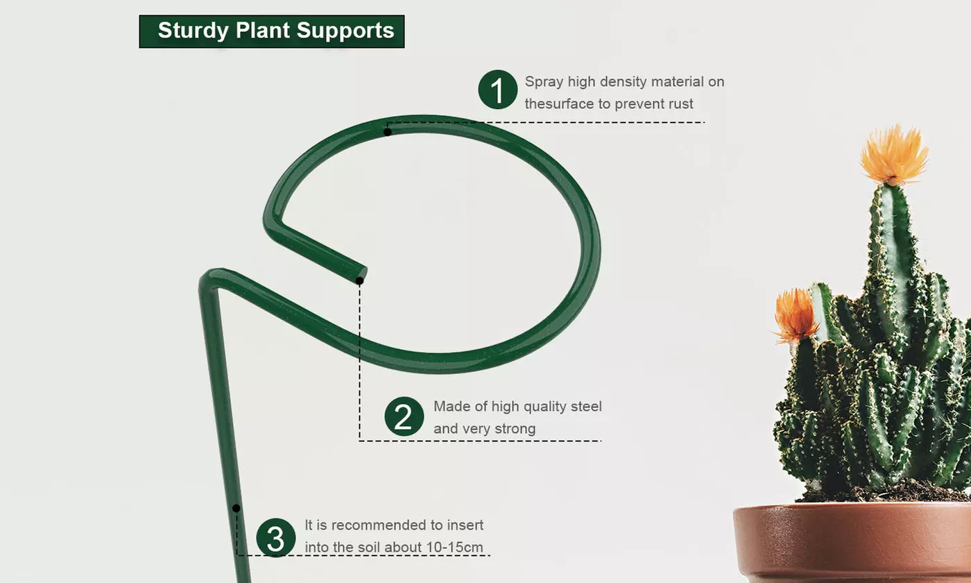 6 Pack Plant Stakes for Flowers Metal Single Stem Plant Support Rings 16 inch