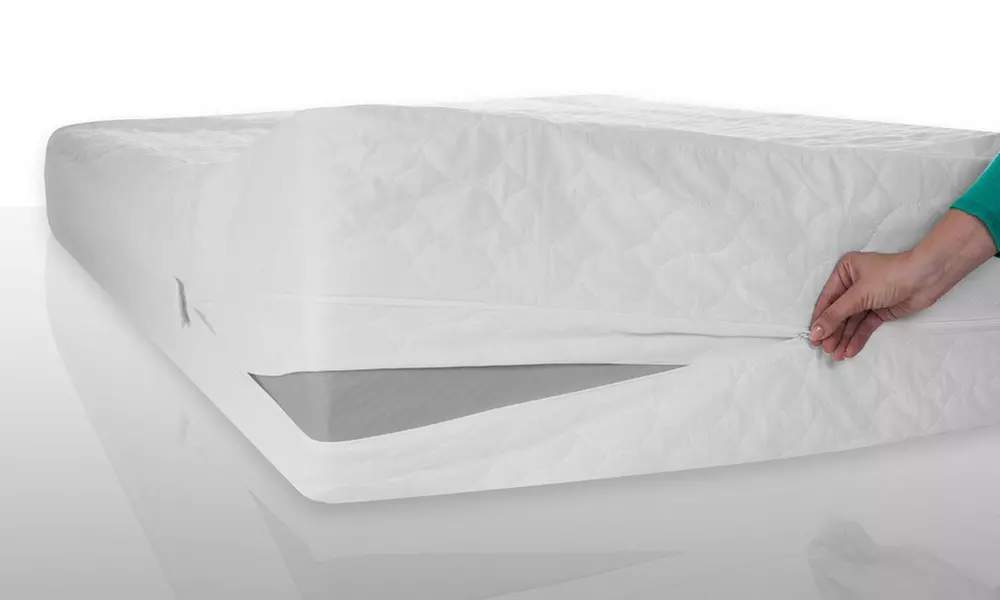 Remedy Dust Mite and Bed Bug Protector for Box Spring, Mattress or Pillows - Second Medium