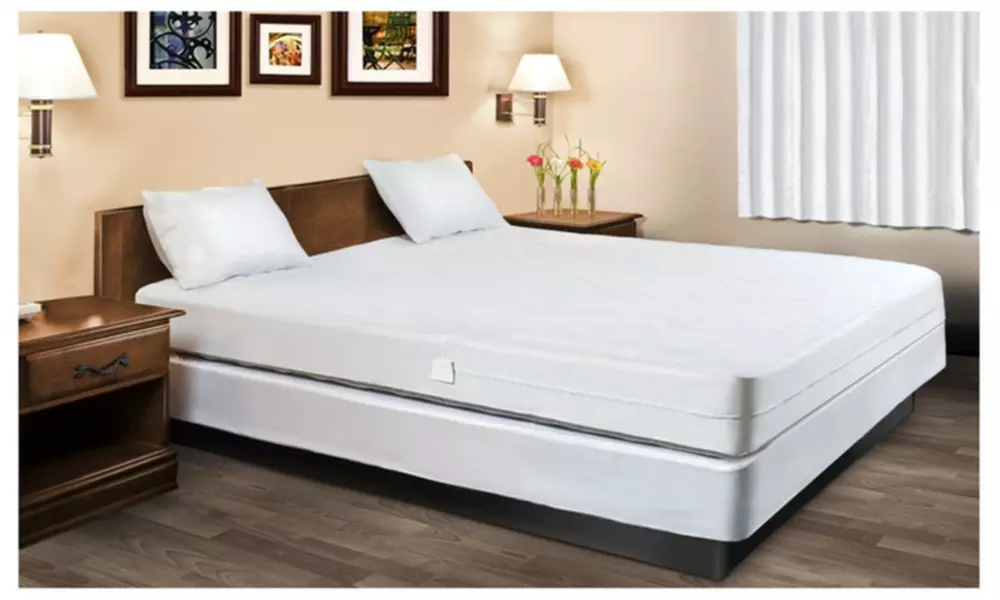 Hypoallergenic Bed Bug Proof Waterproof Zippered Mattress Encasement - Primary Image