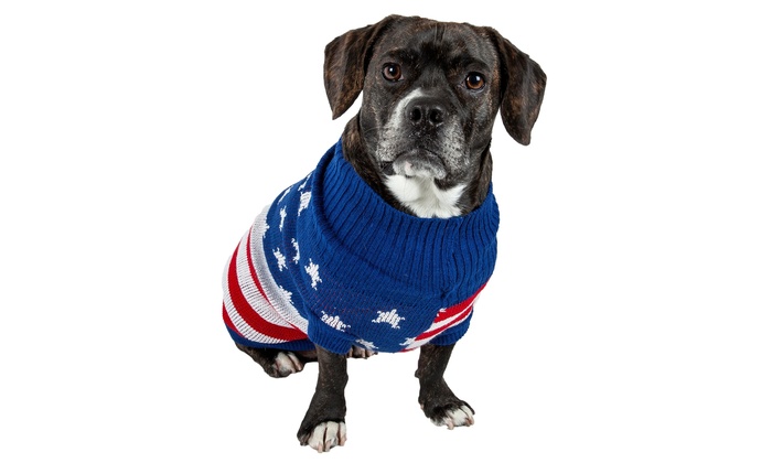 patriots dog sweater