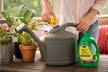 Miracle-Gro 1005562 Quick Start Planting & Transplant Starting Solution, 48 Oz - Second Medium