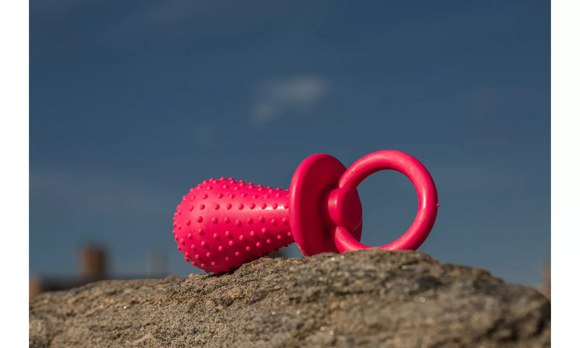 2 Pack Puppy Teether Dummy Toy By Chompstick - Primary Image