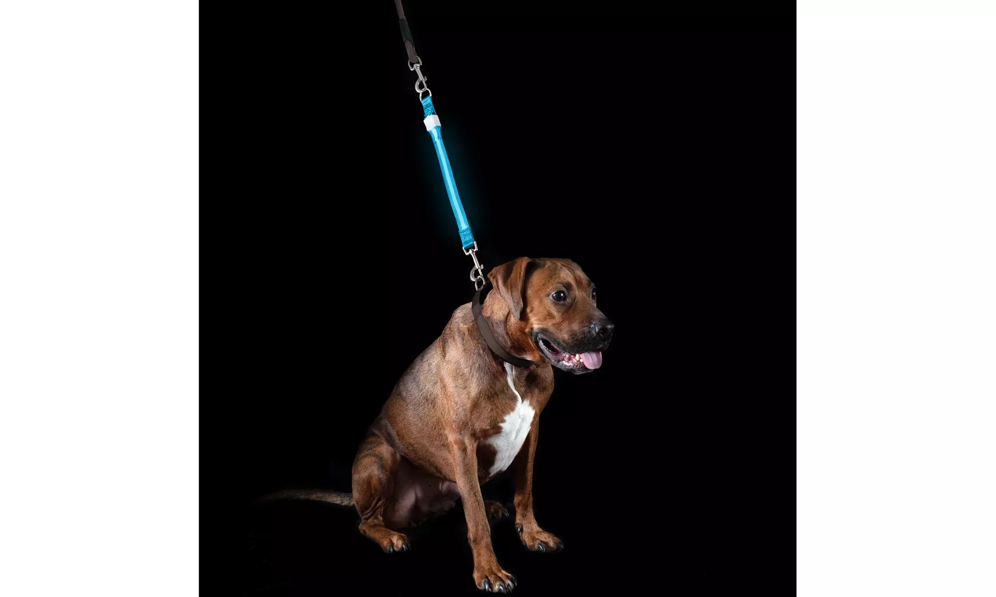 FurHaven Pet Safety Light-Up LED Dog Leash Extender - Second Medium