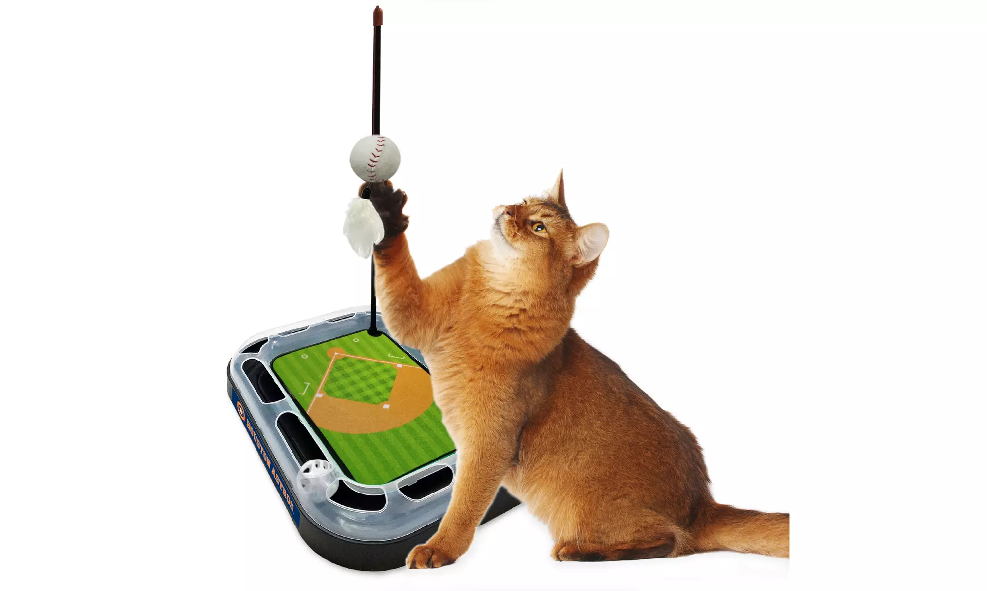 MLB Cat Scratcher Toy - Primary Image