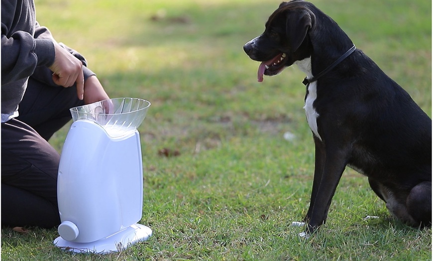 paws and pals automatic ball launcher